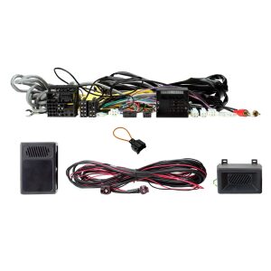 CTSBM017.2