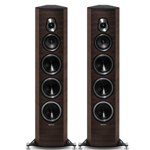 SONETTO VIII