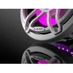 M6-10IB-S-GwGw-i-4-ART-4-PNK