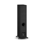 SONIK-5_Black-Ash_rear-01.jpg